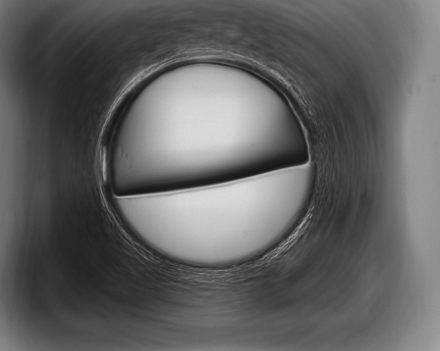 X0000098131509200804171048