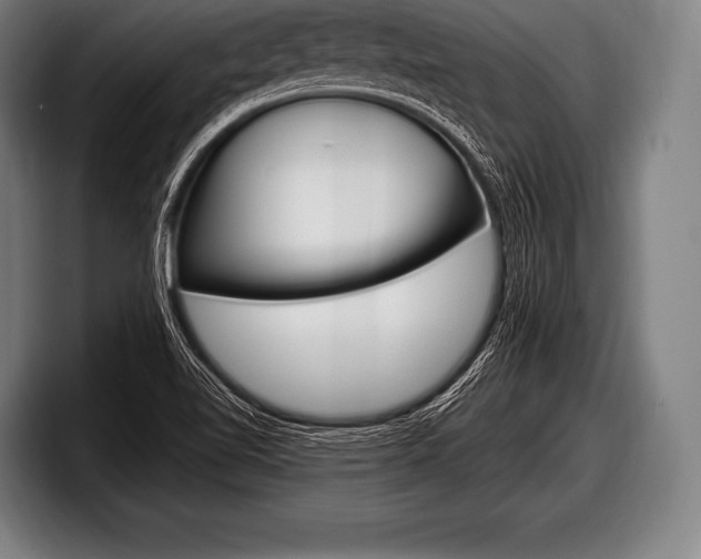 X0000098131510200804171048