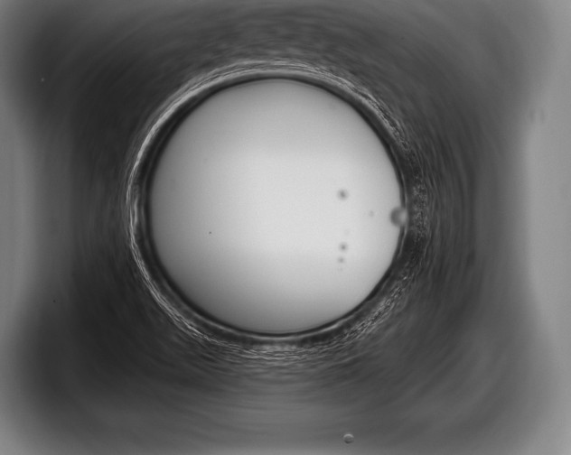 X0000098131511200804171048