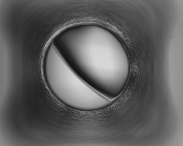X0000098131512200804171048