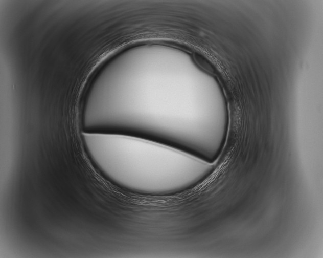 X0000098131513200804171048