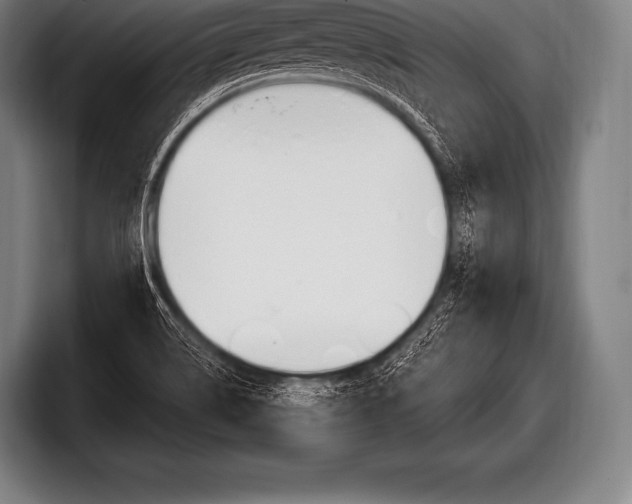 X0000098131514200804171048