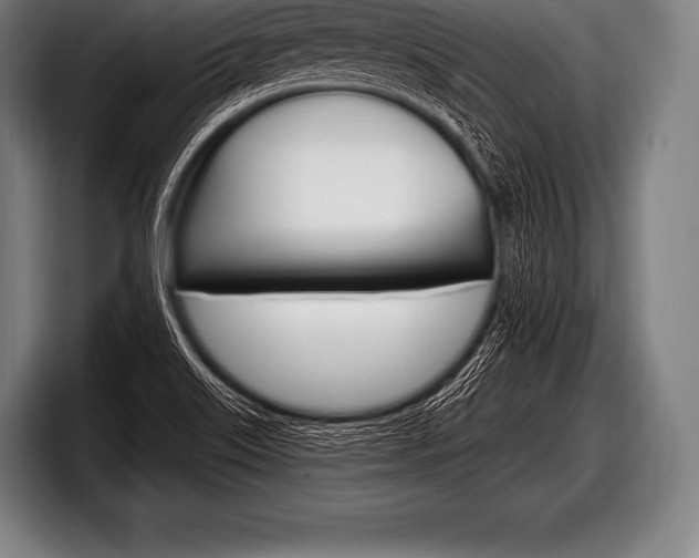 X0000098131515200804171048