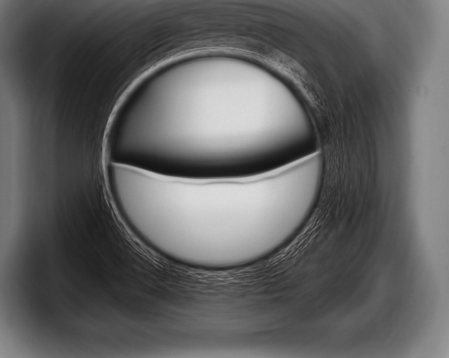 X0000098131516200804171048