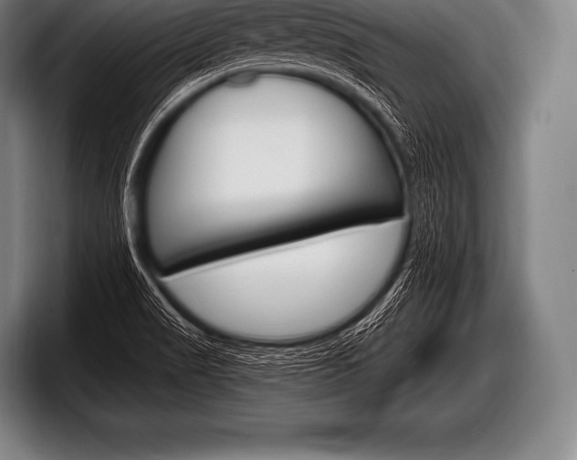 X0000098131517200804171048