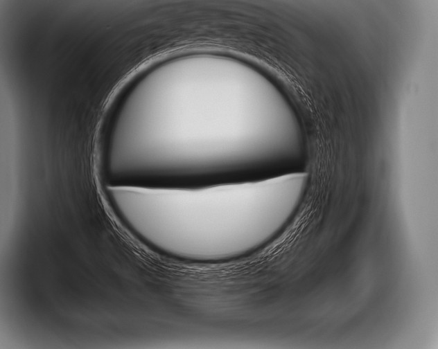 X0000098131518200804171048