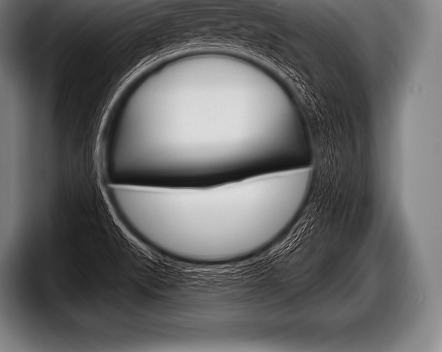 X0000098131519200804171048