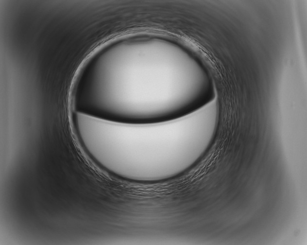 X0000098131520200804171048
