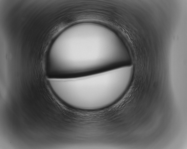 X0000098131521200804171048