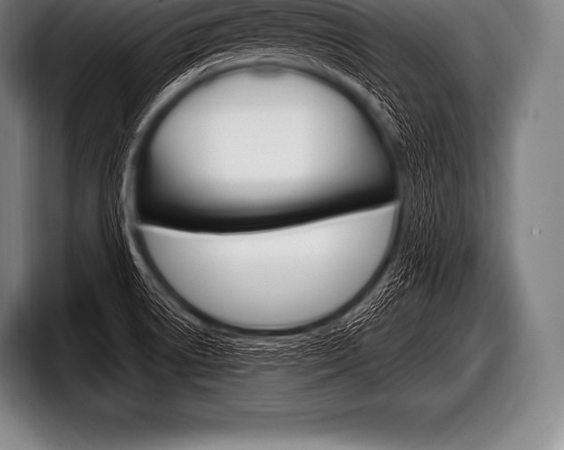 X0000098131522200804171048