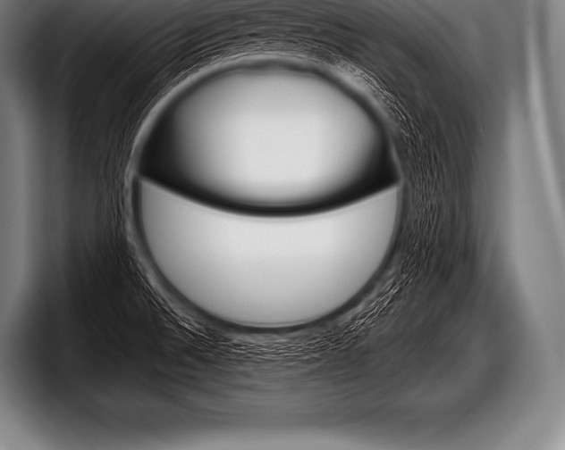X0000098131524200804171048