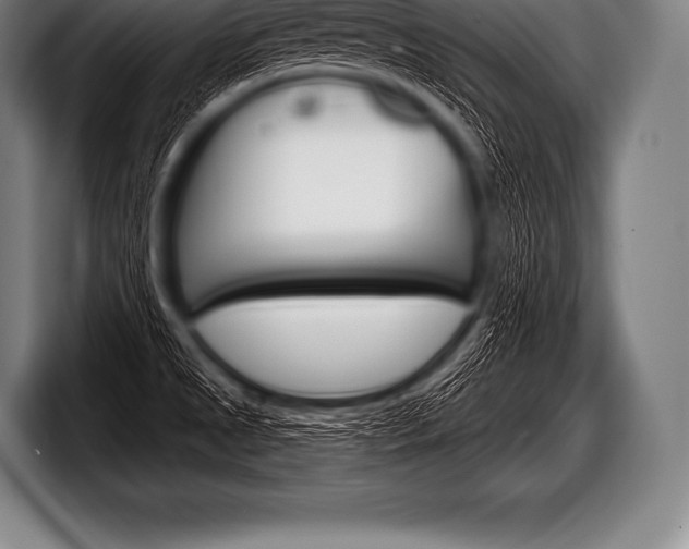 X0000098131525200804171048
