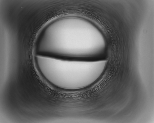 X0000098131526200804171048