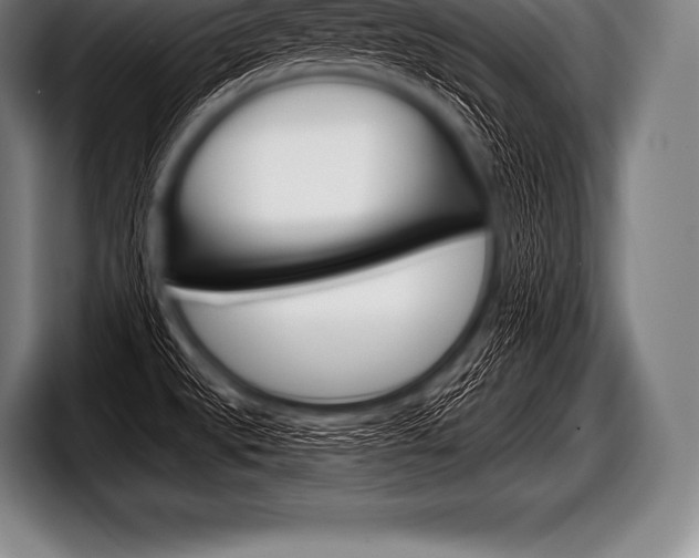 X0000098131527200804171048