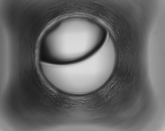 X0000098131528200804171049