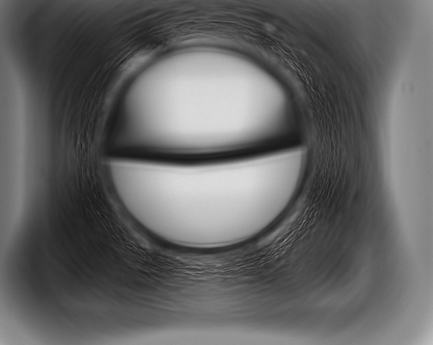 X0000098131529200804171049