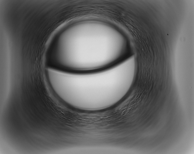 X0000098131530200804171049