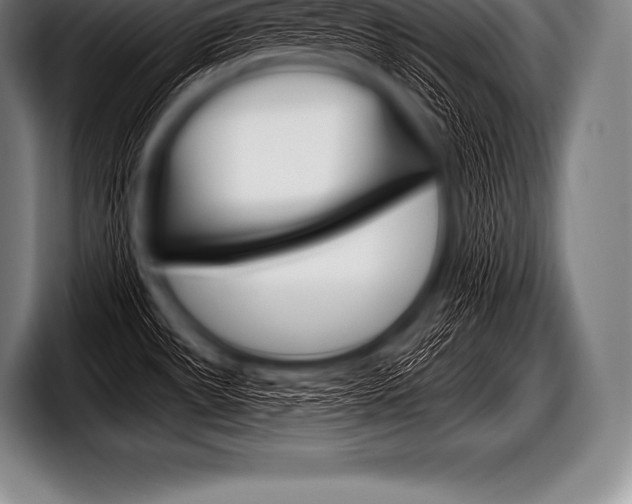 X0000098131531200804171049