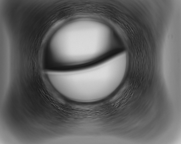 X0000098131533200804171049