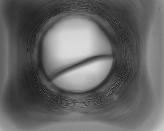 X0000098131535200804171049