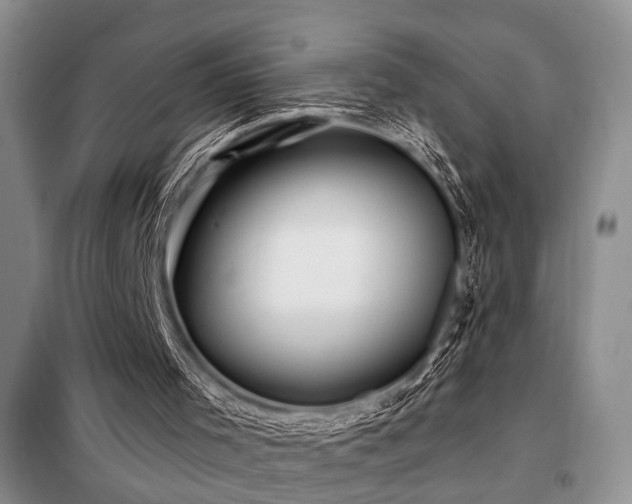 X0000098130001200804171533