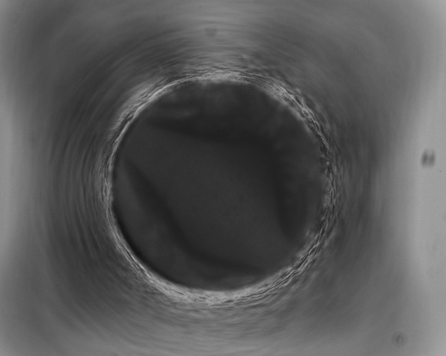 X0000098130002200804171533