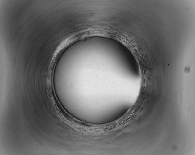 X0000098130004200804171533