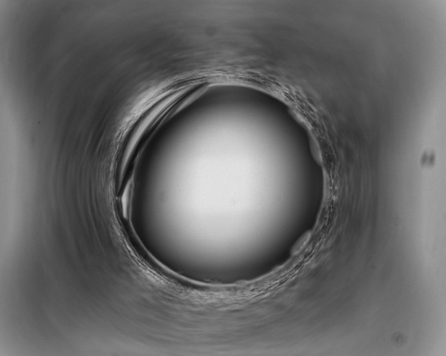 X0000098130005200804171533