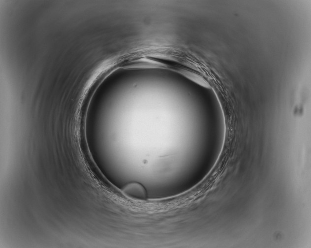 X0000098130006200804171533