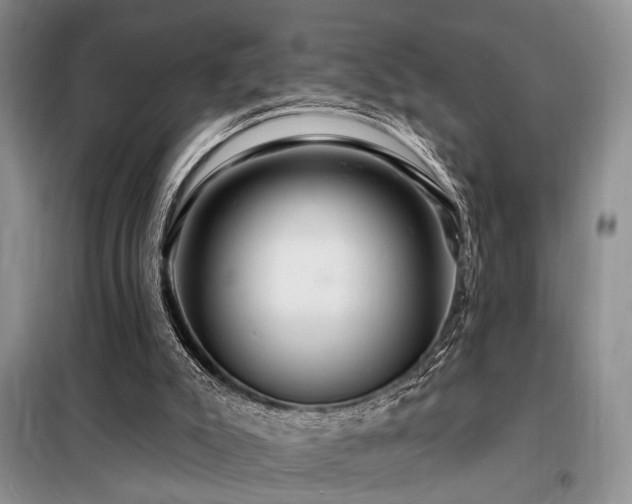 X0000098130007200804171533
