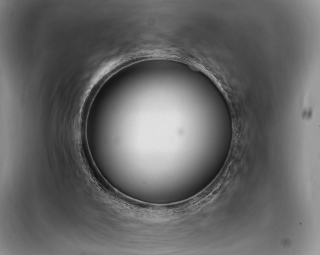 X0000098130008200804171533