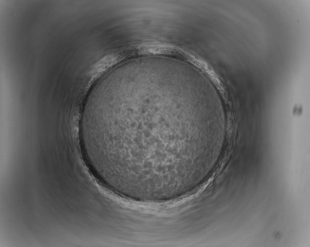 X0000098130010200804171533