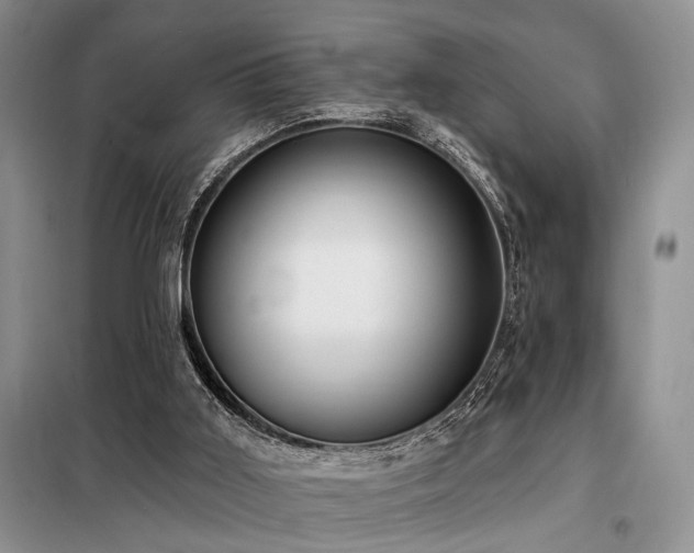X0000098130011200804171533