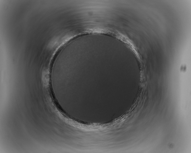 X0000098130012200804171533