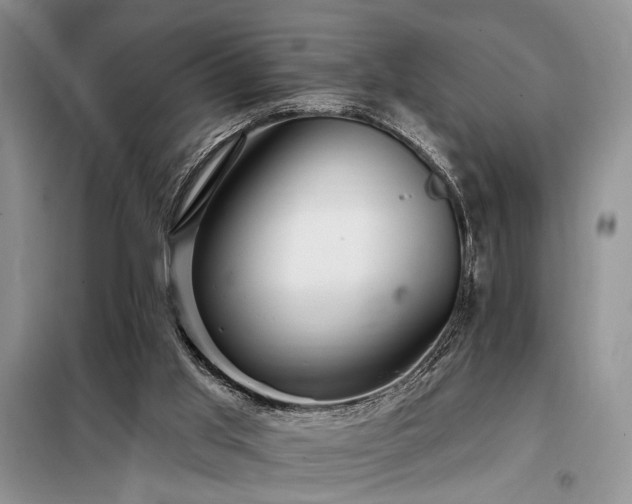 X0000098130013200804171533
