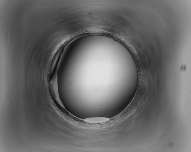 X0000098130015200804171533