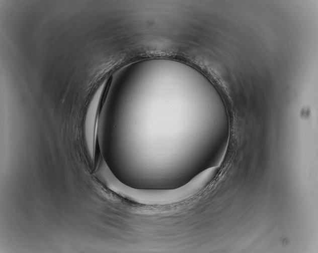 X0000098130017200804171533