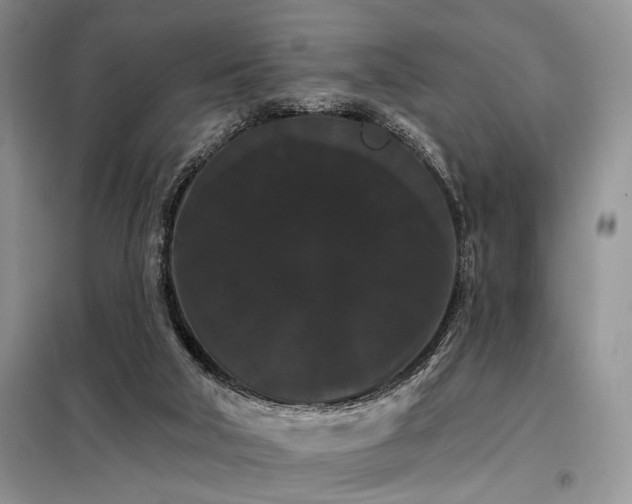 X0000098130018200804171533