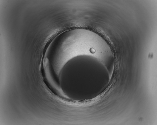 X0000098130019200804171533