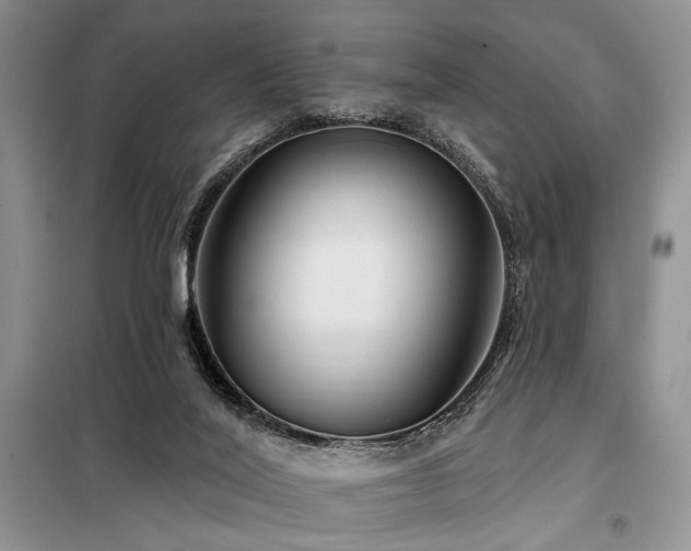 X0000098130020200804171533