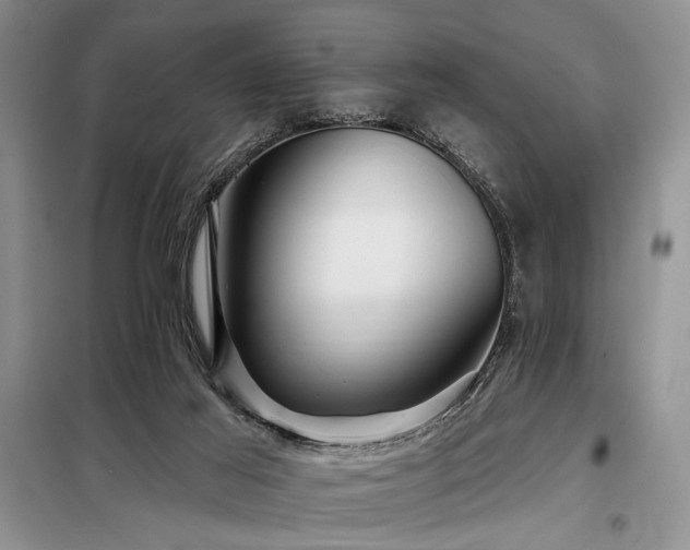 X0000098130021200804171533
