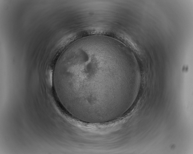 X0000098130022200804171533