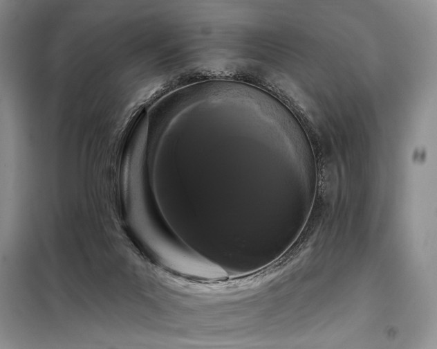 X0000098130023200804171533