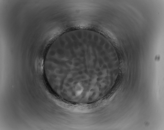 X0000098130024200804171533