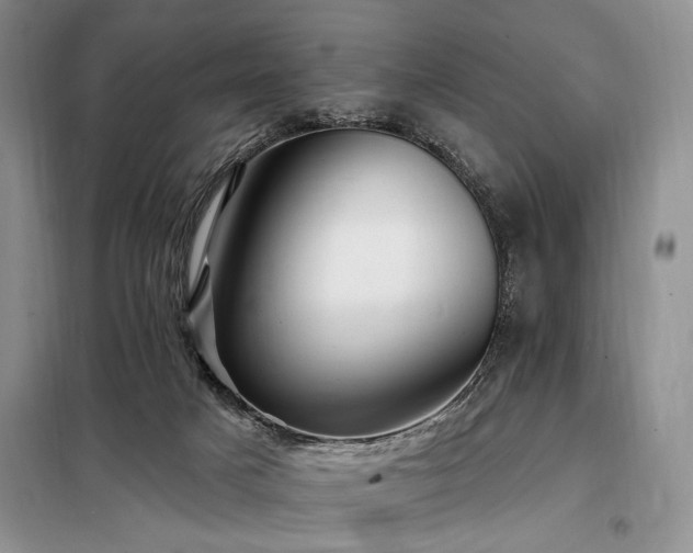 X0000098130025200804171533