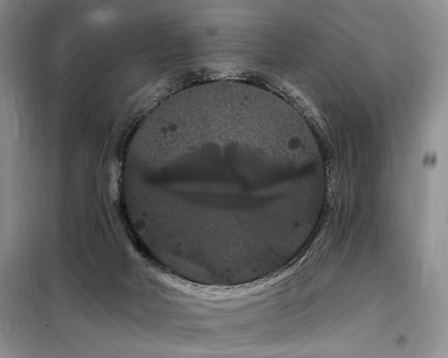 X0000098130026200804171533