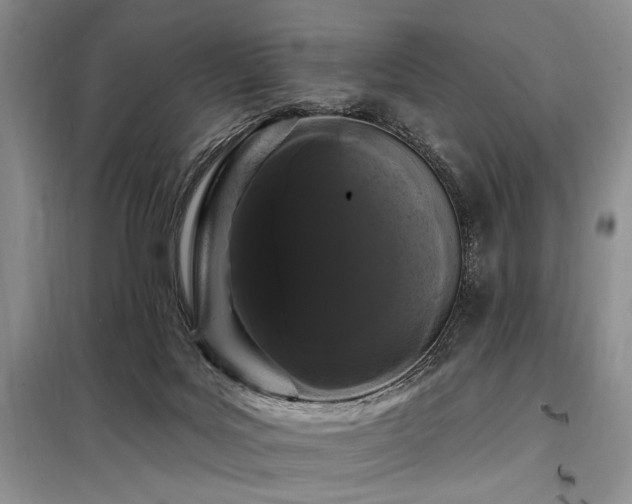 X0000098130027200804171533