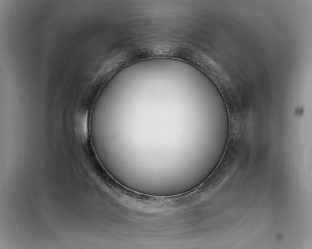 X0000098130028200804171533