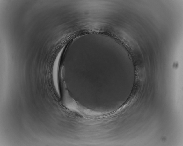 X0000098130029200804171533