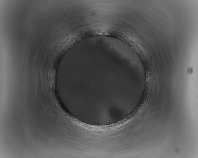 X0000098130030200804171533